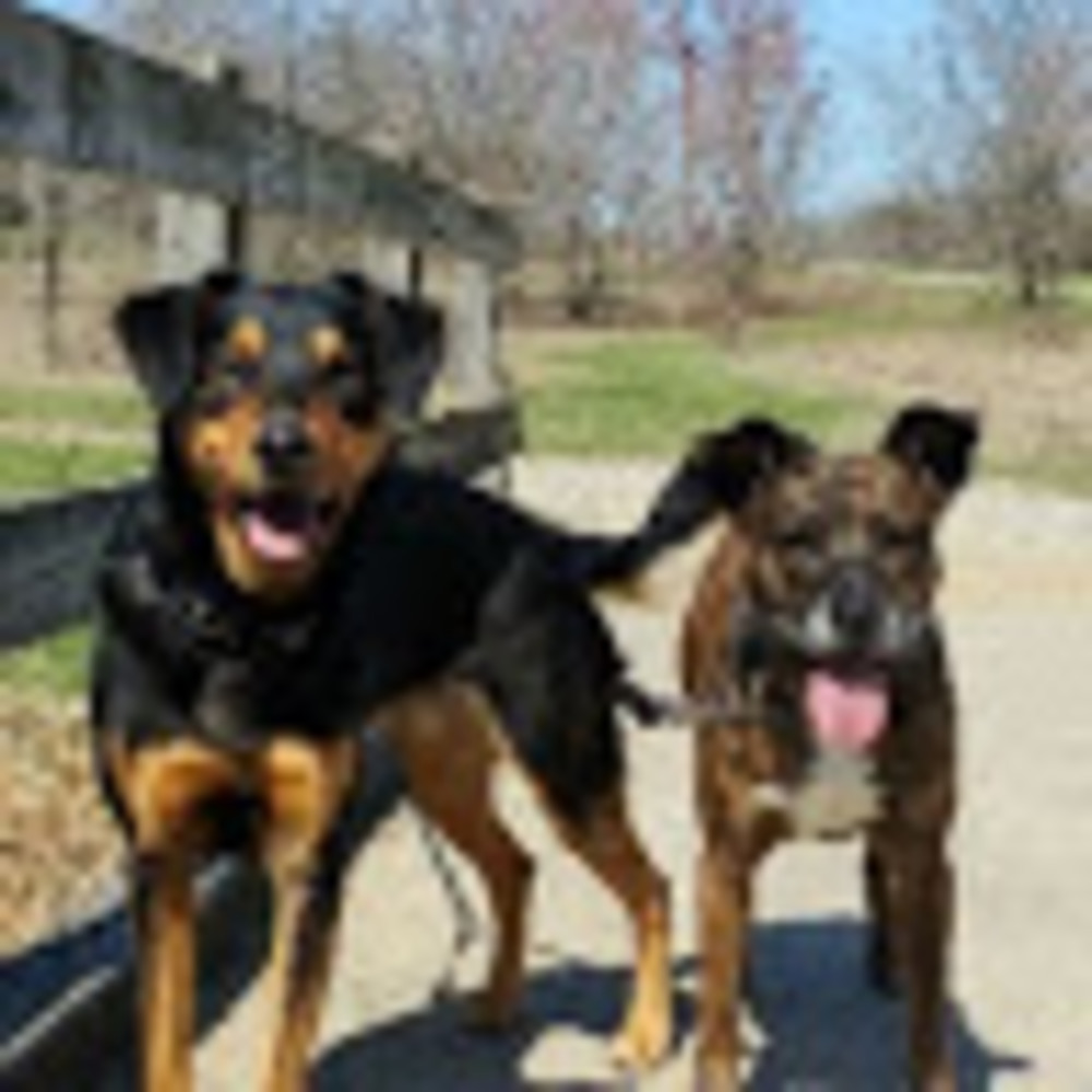 Meet your Posher, Alex